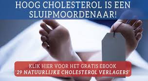 cholesterolverlagend dieet afvallen