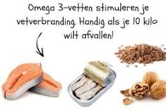 hoe kan je snel 10 kilo afvallen
