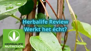 herbalife thee afvallen