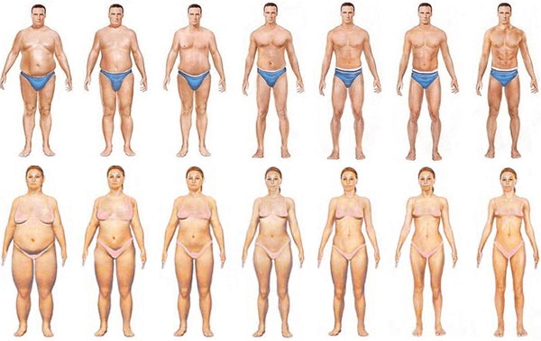 snel afvallen buik en benen