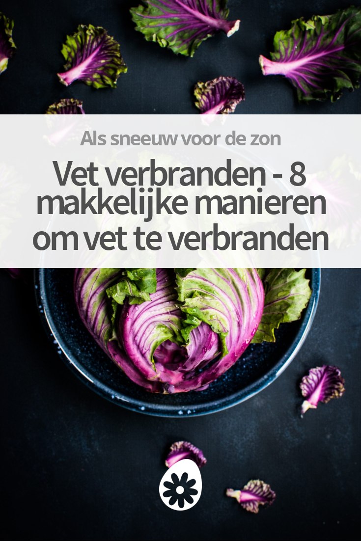 snelste manier vet verbranden