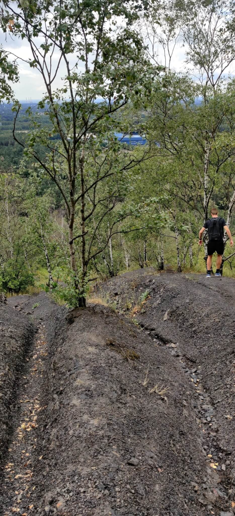 wandelen om af te vallen